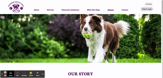 website demo